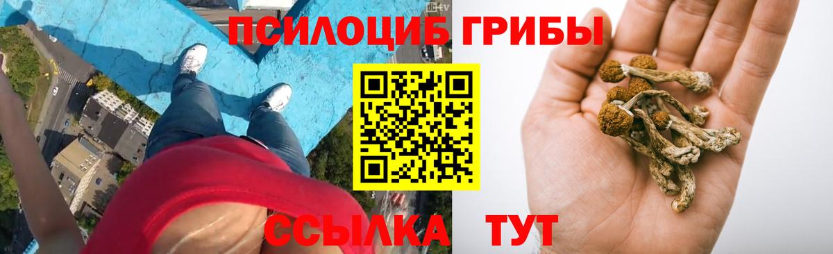 Псилоцибиновые грибы GOLDEN TEACHER Ульяновск